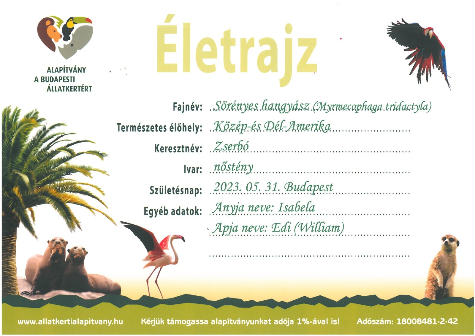 Zserbó életrajza