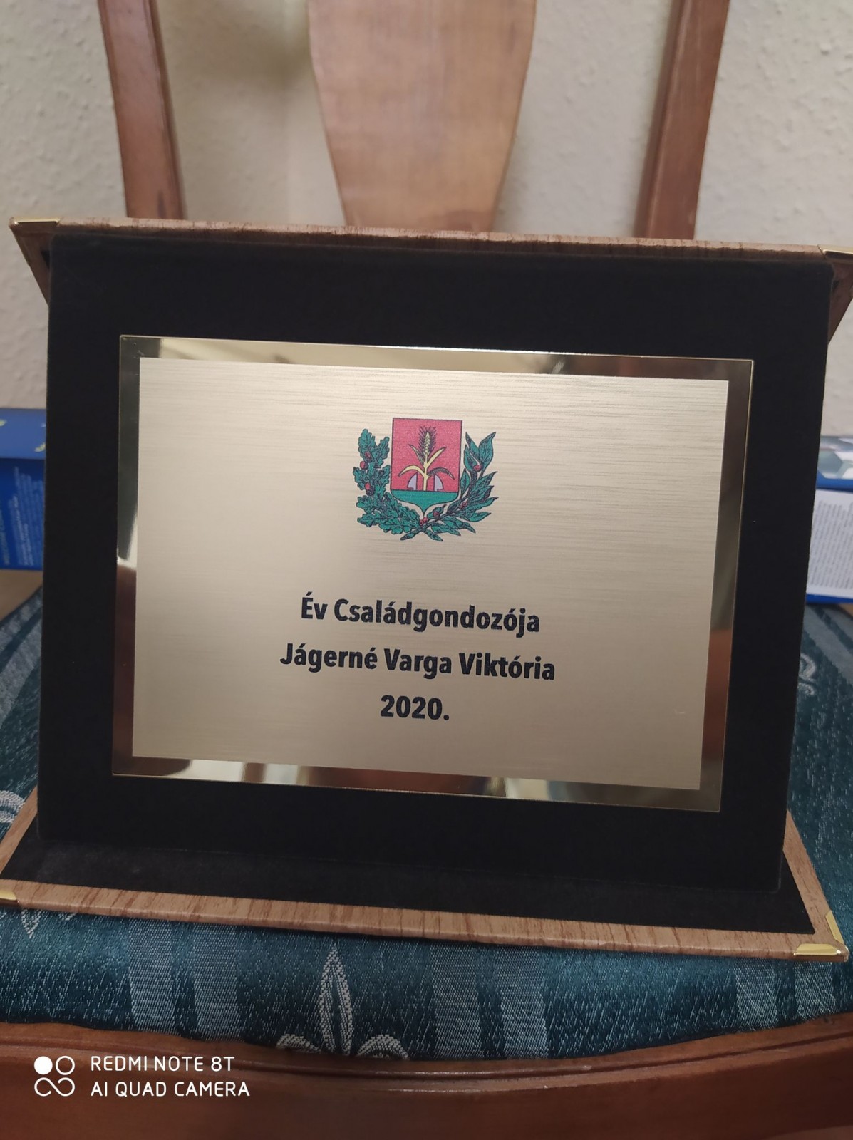 Év Családgondozója díj